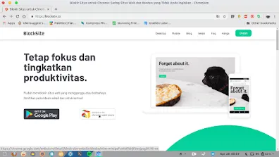 How to Block Website URLs on Android and PC How to Block Website URLs on Android and PC