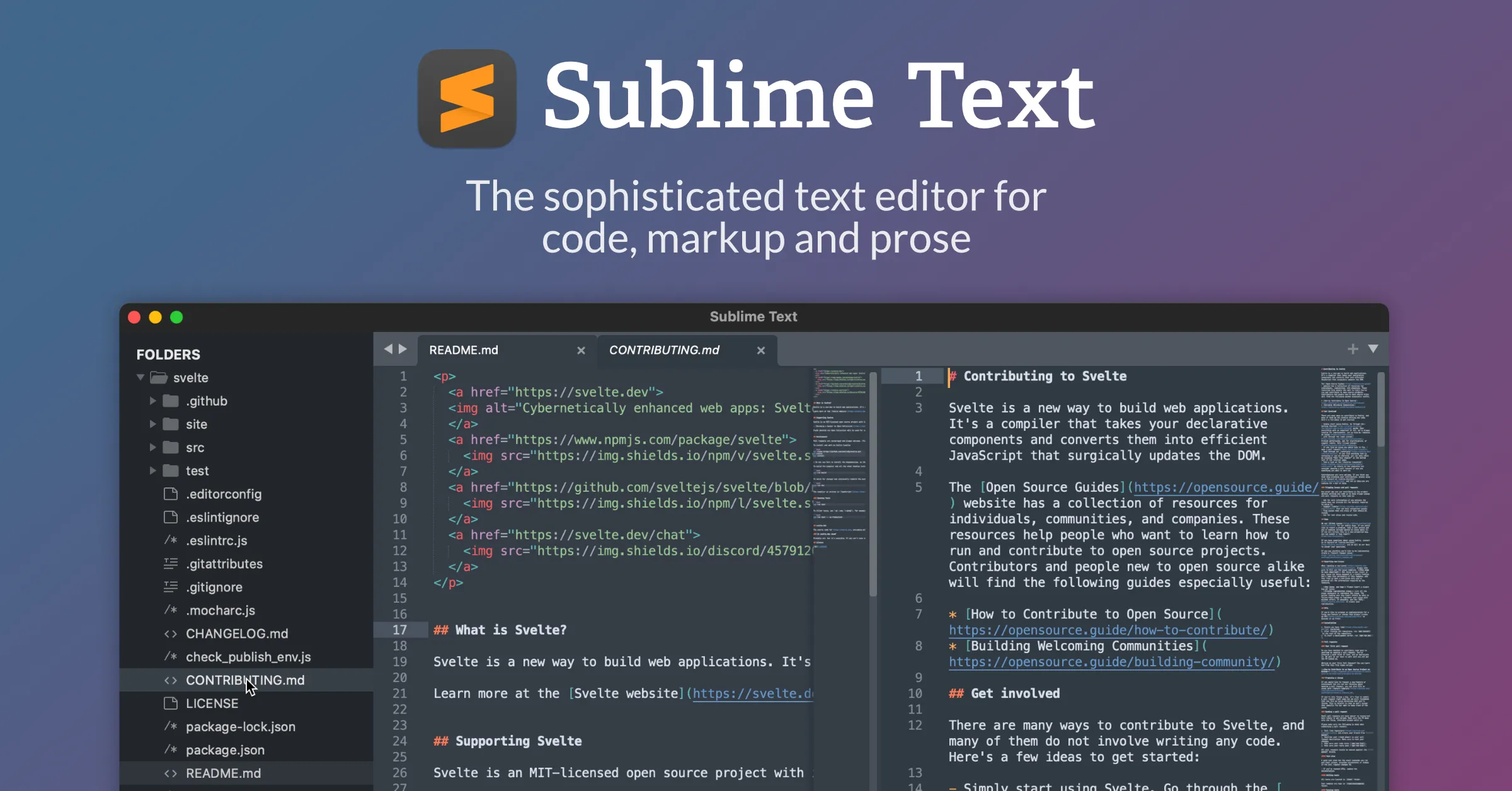Sublime Text Sublime Text