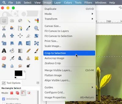 How to Crop an Image With GIMP - Third How to Crop an Image With GIMP - Third